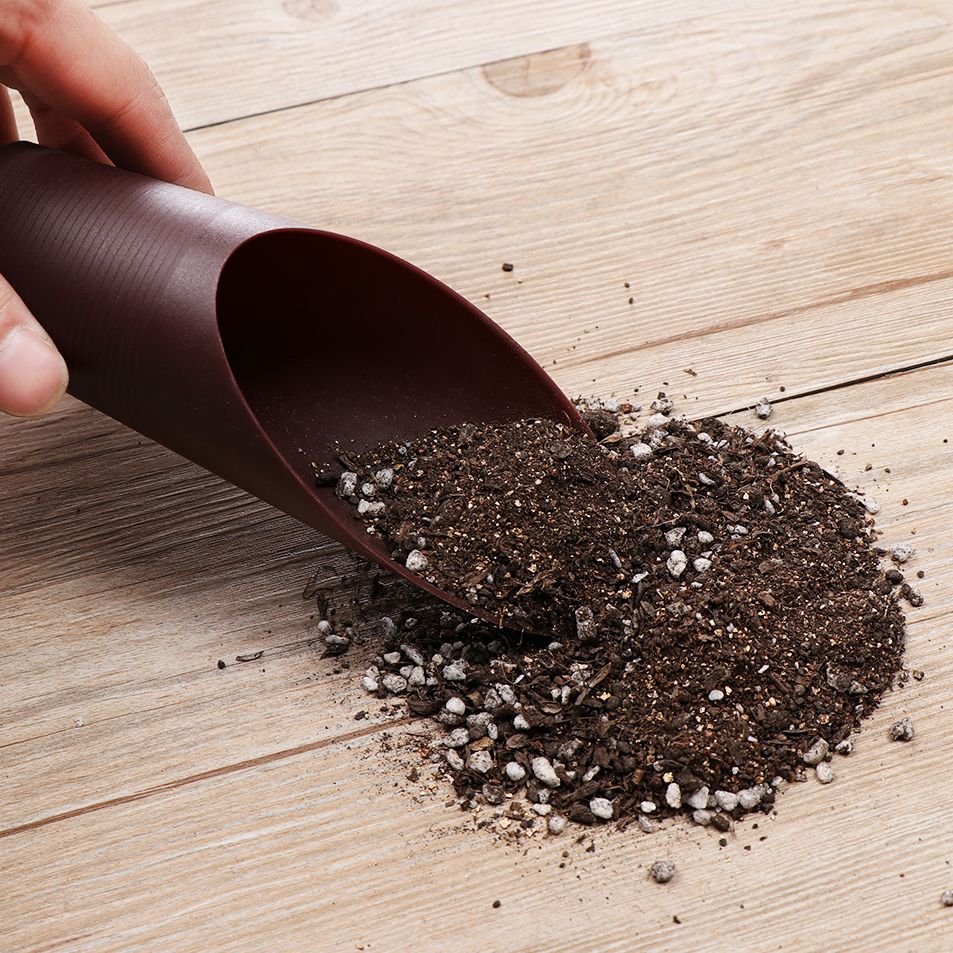 1 pz plastica terreno pala taz - Plant Parent Tools recensione e prezzo