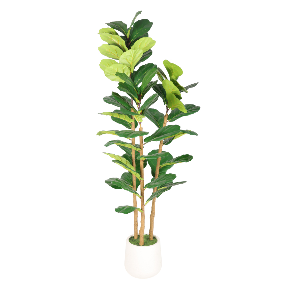 Albero di Ficus Lyrata Artific - Fiddle Leaf Fig recensione e prezzo